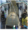 آغاز عملیات اجرایی طرح تحقیقاتی بررسی ذخایر فانوس ماهیان دریای عمان