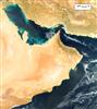 شکوفایی جلبکی در دریای عمان و خلیج فارس